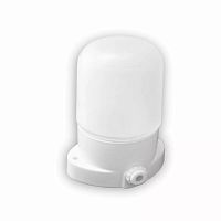 LEEK баня/сауна белый 60W IP54 прямой керам.осн/жаропрочн.стекло 150° ЖКХ НПБ OL LE061100-0065