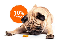 -10% на зоотовары